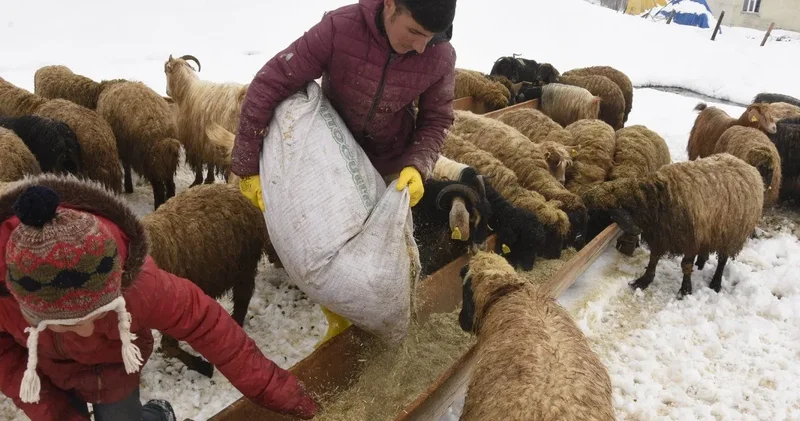 Nisan karı üreticiyi vurdu: Stoklar bitiyor!