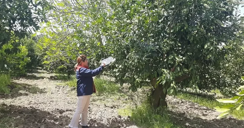 Tarım arazilerinde hastalık ve zararlı denetim mesaisi