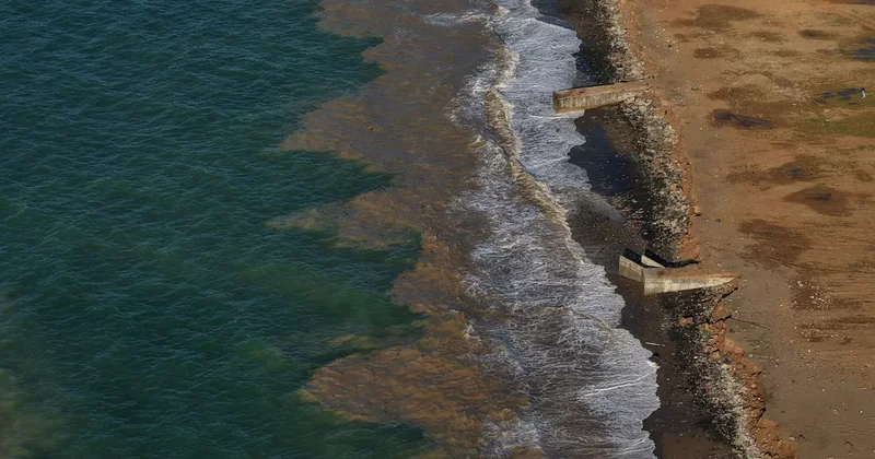 Trabzon da şaşırtan görüntü: Sahil bir gecede çamura döndü