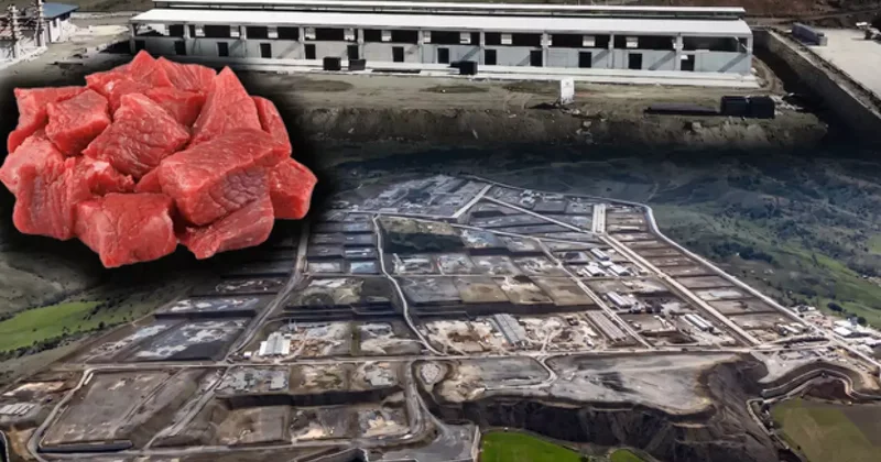 Türkiye nin yeni et üssü olacak! Fiyatları düşürecek proje