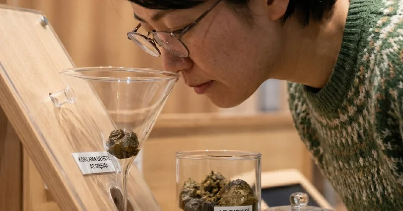 Bu müzede ziyaretçilere dışkı ve idrar koklatılıyor Sözcü Gazetesi