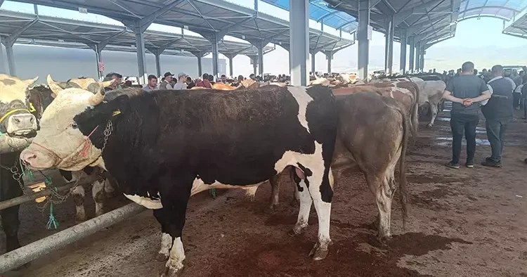 784 milyon liralık yeni besi organize tarım bölgesi yatırımı