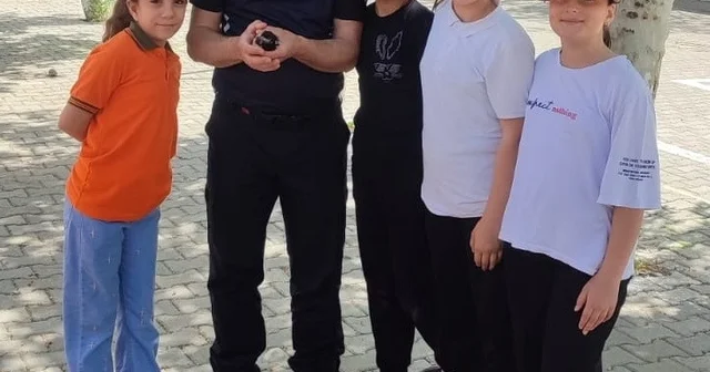 Saksağan yavrusu itfaiye ekiplerince yuvasına kavuşturuldu Adıyaman Haberleri