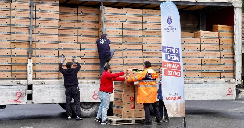 İBB Çatalca da çiftçiye ücretsiz fide dağıttı