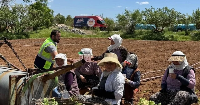 Tarım işçilerine serinleten ikram Büyükşehir mobil ikram filosu rotasını tarlalara çevirdi Denizli Haberleri
