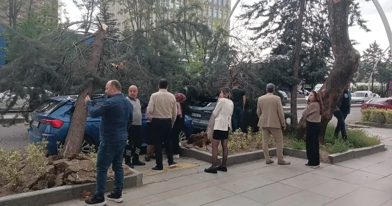 Ankara yı fırtına vurdu! Ağaçlar araçların üzerine devrildi