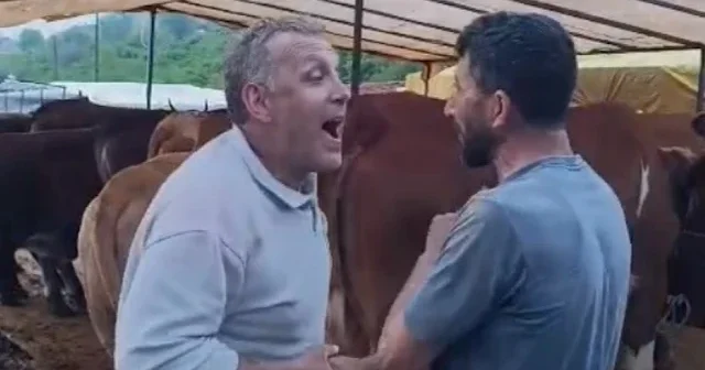 Kurban pazarında dakikalarca süren pazarlıkta inat kazandı VİDEO İZLE