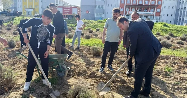 Çavdarhisar da öğrenciler okulun tarım alanına lavanta fidanı dikti Kütahya Haberleri