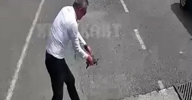 Kocaeli de otobüs şoförü önüne çıkan kaplumbağayı ezilmekten kurtardı VİDEO İZLE