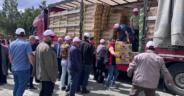 Erzincan da 220 üreticiye 779 bin 520 sebze fidesi dağıtıldı Erzincan Haberleri