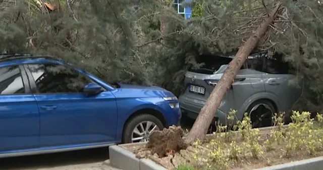 Ankara da fırtına dehşeti: Devrilen ağaçlar otomobilleri ezdi VİDEO İZLE