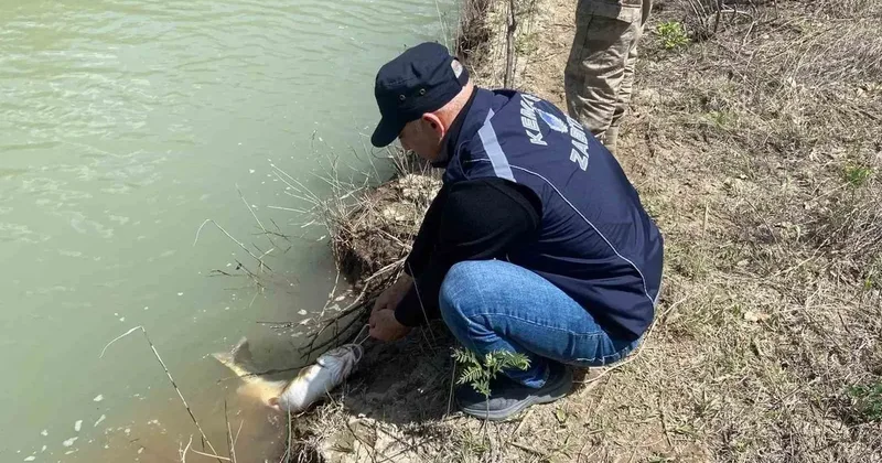 Karasu Nehri’nde kaçak avcılığa karşı denetim yapıldı