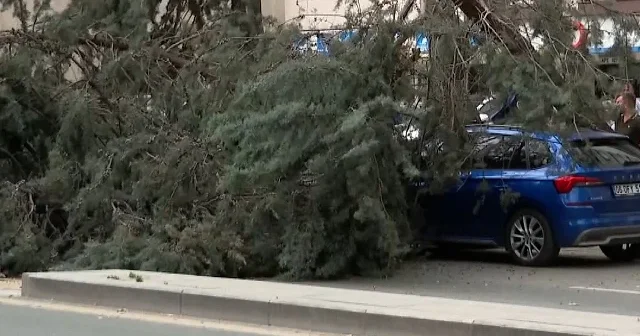 Ankara da şiddetli rüzgar sebebiyle ağaçların arabaların üzerine devrilme anı kamerada VİDEO İZLE