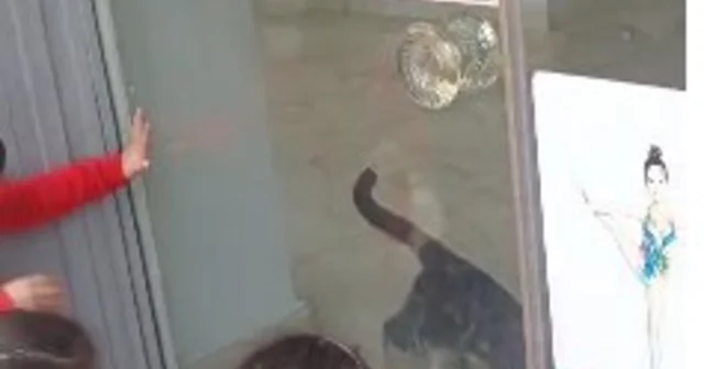 Kedi, öğrencilerin duyduğu miyavlama sesi sayesinde kurtarıldı Çorum Haberleri