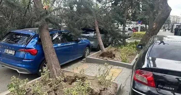 Ankara yı sel vurdu! Ağaçlar kökünden söküldü, direkler devrildi