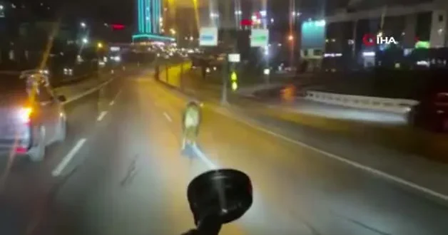 Avcılar’da kurban alanından kaçan dana E 5’i karıştırdı: O anlar kamerada