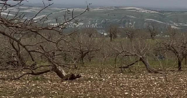 Gaziantep Kent Konseyi nden Çiftçiler Günü mesajı Gaziantep Haberleri