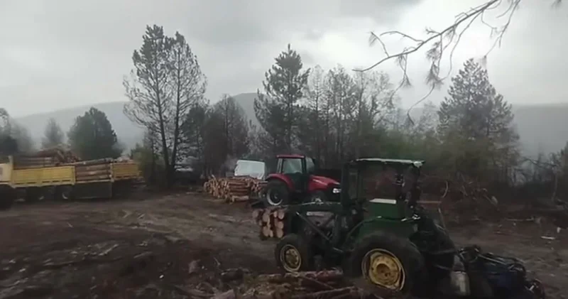 Ormanda yıldırım düşme anı kamerada