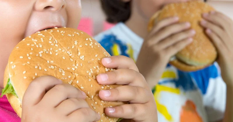 Türkiye nin hızlı favorileri belli oldu: Zirvede hamburger ve çikolata var