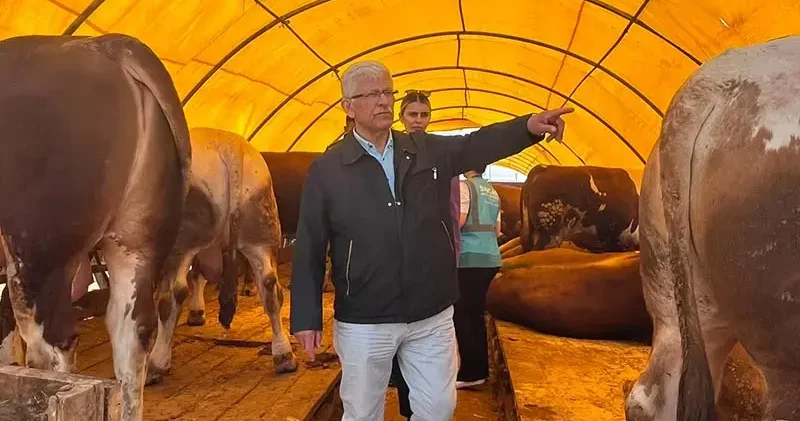 Kurbanlık alırken küpe ve sağlık raporu mutlaka kontrol edilmeli