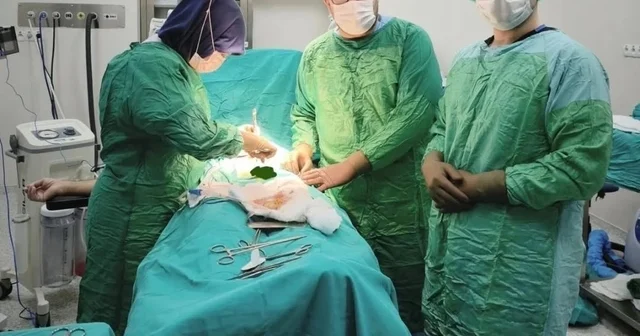 Bayburt ta iki hastanın mesanesinden 27 taş çıkarıldı Bayburt Haberleri