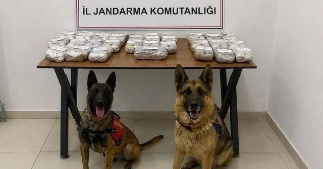 Hakkari de 21 kilo 650 gram toz esrar ele geçirildi Hakkari Haberleri