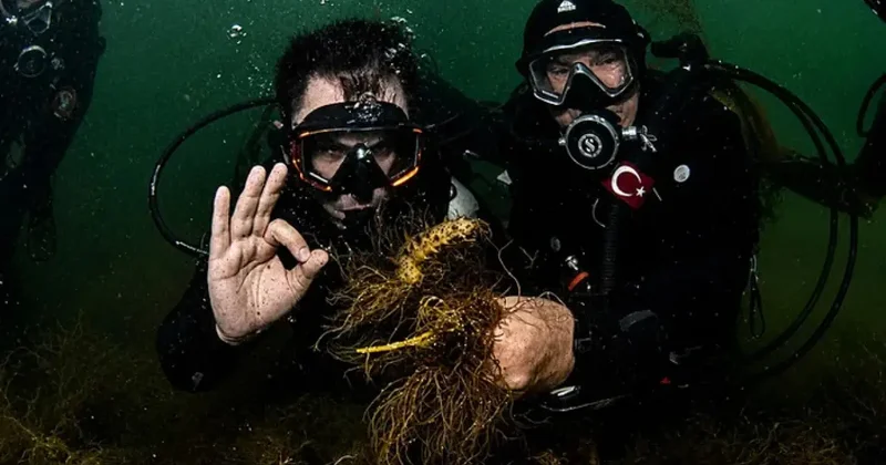 2,4 milyon metreküp dip çamuru temizlendi! Bakan Kurum İzmit Körfezi ne tüple daldı