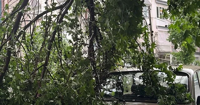 Manisa da sağanak; sel sularının evin kapısından taştığı anlar kamerada Manisa Haberleri