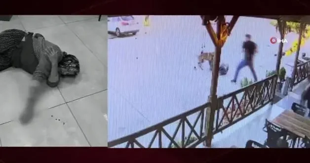 Afyonkarahisar da başıboş köpek terörü devam ediyor