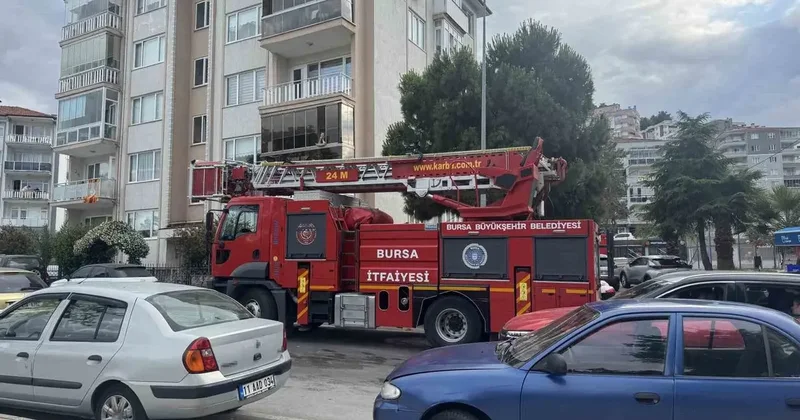 Karga kurtarılırken arkadaşları adeta kuşatma yaptı, saldırgan davranışlar sergiledi