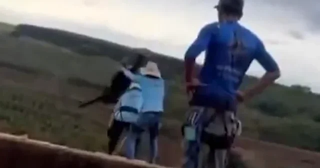 Bungee jumping yaparken halatı bağlamayı unuttular: Genç kızı uçurumdan aşağı attılar VİDEO İZLE