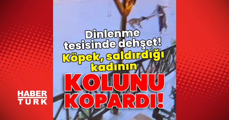 Dinlenme tesisinde dehşet! Köpek, saldırdığı kadının kolunu kopardı! Son dakika haberleri