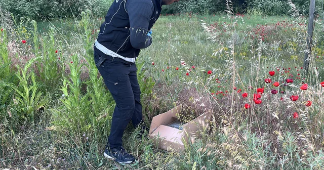 Polisi görünce uyuşturucuyu otların arasına gizlediler Kütahya Haberleri