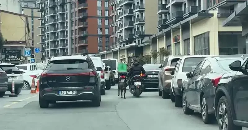 Seyrantepe’de motosiklete bağladığı köpeği metrelerce koşturdu: 8 bin 678 lira ceza kesildi
