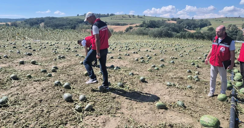 Tekirdağ da dolu ve sağanak 35 bin dekar tarım alanını vurdu