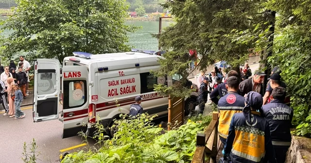 Uzungöl de seyir terasından araç uçtu: 2 Arap turist yaralı Trabzon Haberleri Habertürk Yerel Haberler