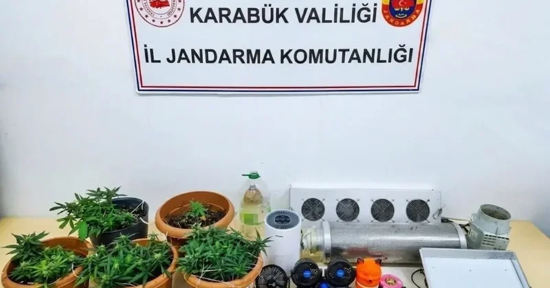 Karabük’te uyuşturucu operasyonu: Skunk serası ortaya çıkarıldı