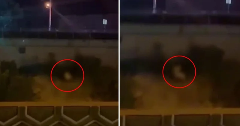 Görüntü Türkiye den! Kimseye aldırmadan yol kenarında cinsel ilişkiye girdiler