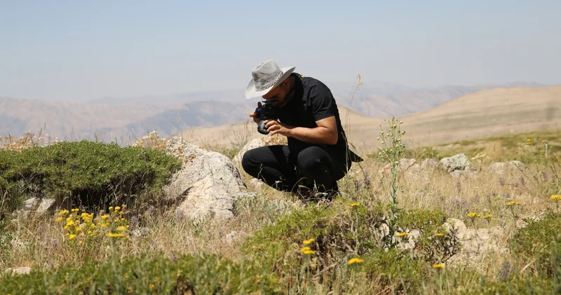 Siirt adıyla literatüre giren bitki dünyada sadece yaklaşık 300 metrekarelik alanda yayılıyor