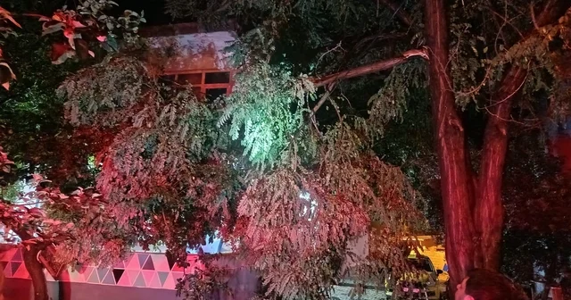 Erdek te fırtına ve dolu yağışı: Ağaçlar devrildi, çatılar uçtu Balıkesir Haberleri Habertürk Yerel Haberler