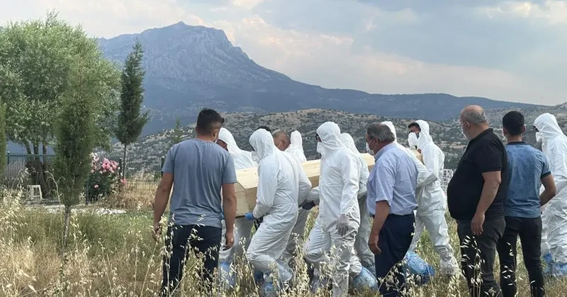 Bir ısırıkla başı döndü, iştahtan kesildi... 15 gün sonra hayatını kaybetti