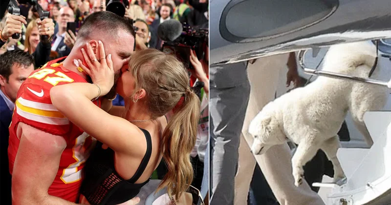 İşte Taylor Swift ve Travis Kelce nin sır gibi sakladığı köpeği!