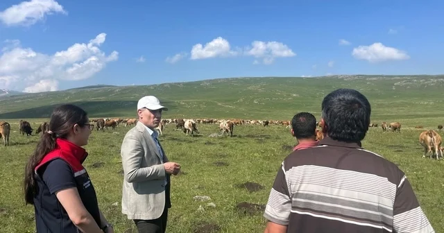 Tarım ve Orman Müdürü Enver Aydın, 2 bin 500 rakımlı Susuz Yaylası nda üreticilerle buluştu Kars Haberleri Habertürk Yerel Haberler
