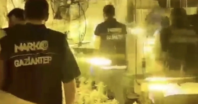 Gaziantep te uyuşturucu imalathanesine baskın 700 kök hint keneviri ile 5 kilo 850 gram kurtulmuş kenevir bitkisi ele geçirildi Gaziantep Haberleri Habertürk Yerel Haberler
