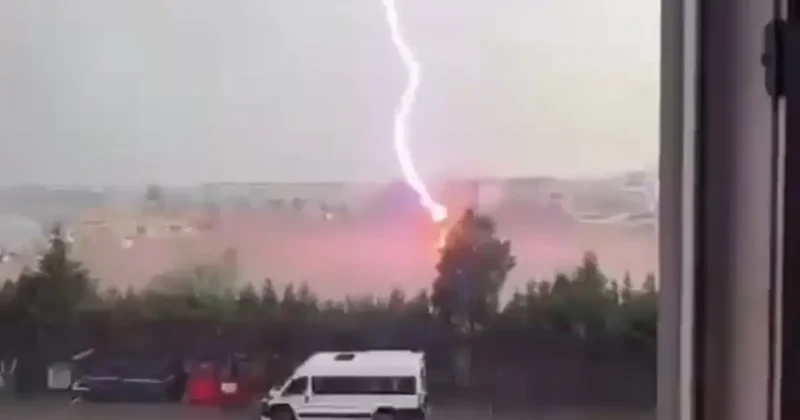 Tekirdağ’da palmiye ağacına yıldırım düştü, alev alev yandı