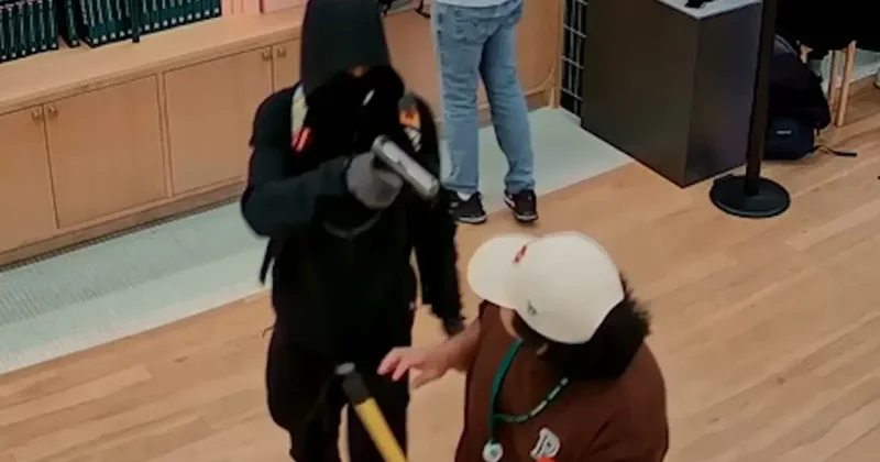 Fransa da ilginç soygun: Ne para ne altın! Değeri şaşkına çevirdi
