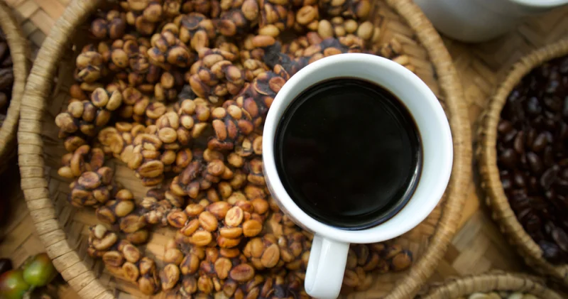 Fincanı 80 dolardan başlıyor! Dünyanın en pahalı kahvesi bir hayvanın sindiriminden geçiyor: Kopi Luwak