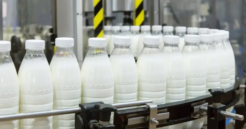 Devlet desteğiyle yıllık 430 ton süt üretim kapasiteli tesis kurdu
