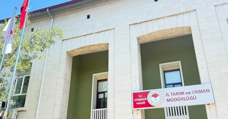 Kedinin ısırdığı 4 yaşındaki çocuk entübe edildi! Kuduz testi pozitif çıktı