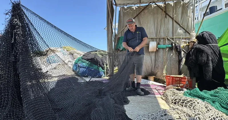Balıkçılar yeni sezonda palamuttan umutlu